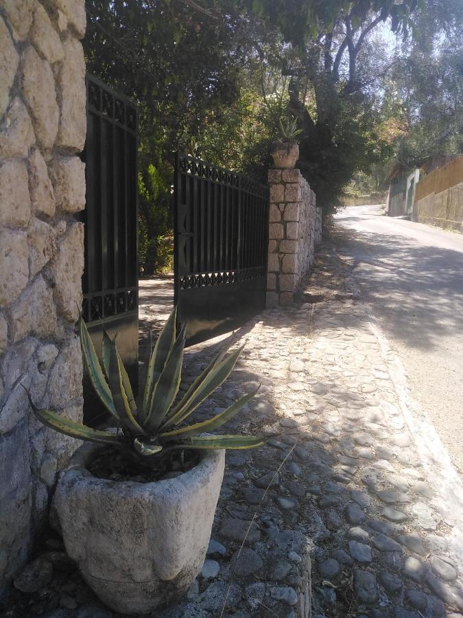 Olea Home Agia Pelagia Chlomou Luaran gambar