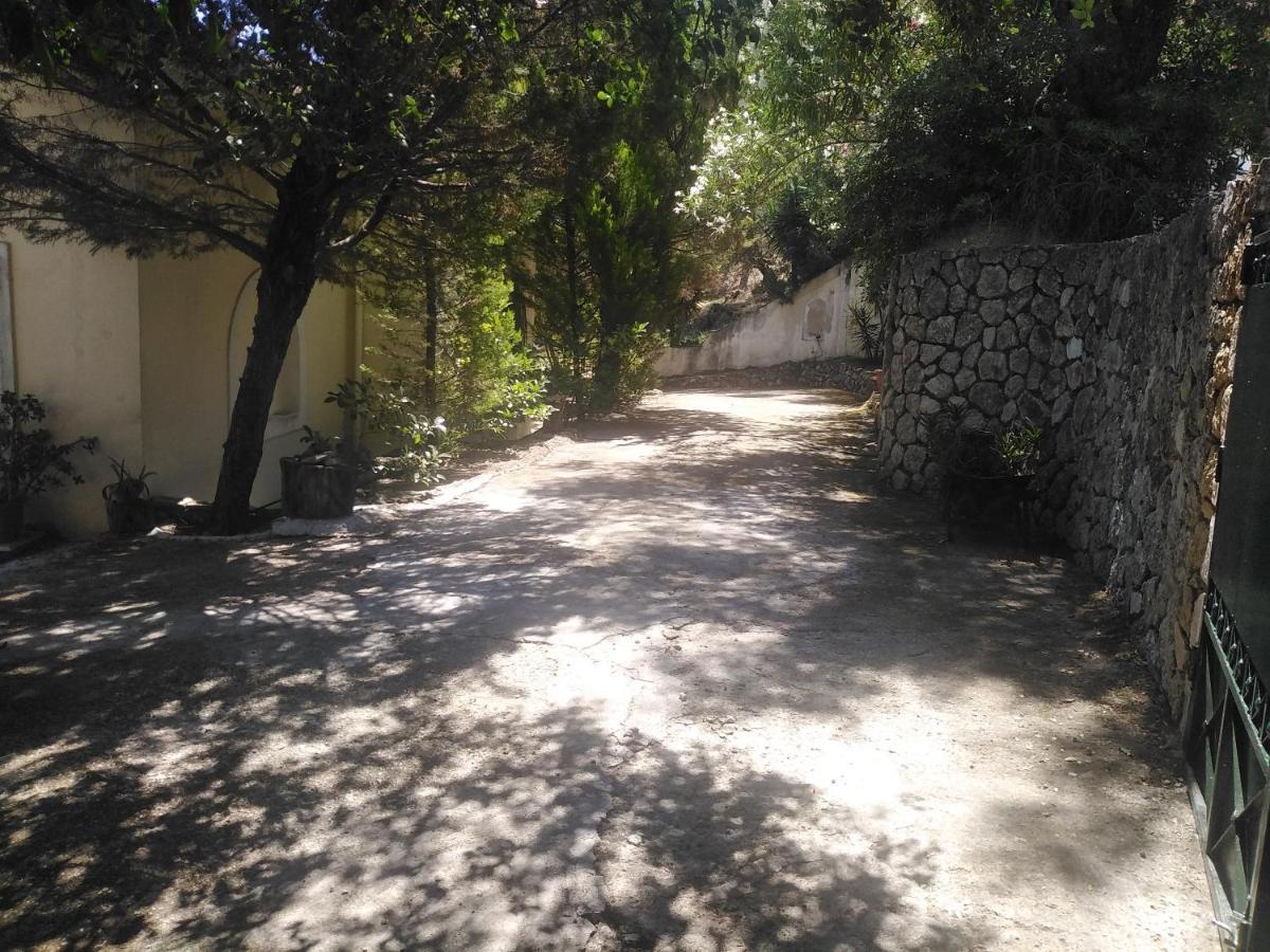 Olea Home Agia Pelagia Chlomou Luaran gambar